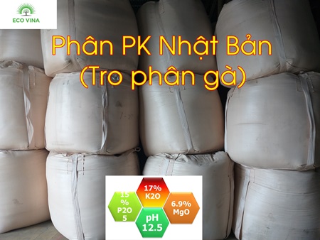 Phân PK Tro gà Nhật Bản