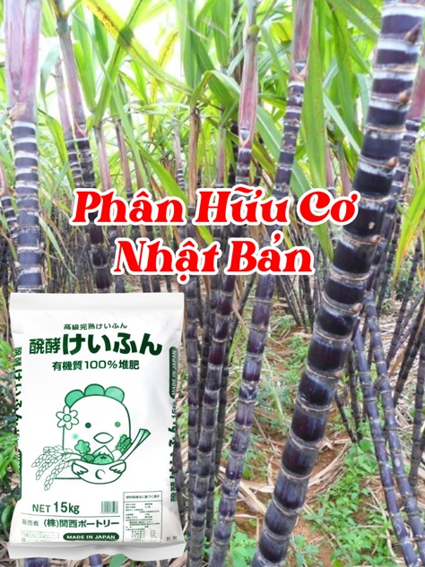 Phân hữu cơ dùng cho cây Mía