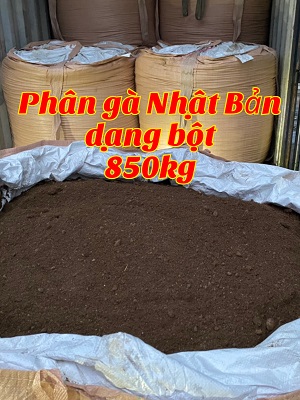 Phân gà túi dạng bột