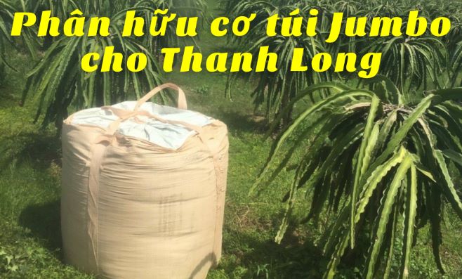 Phân gà hữu cơ Nhật Bản Túi Jumbo cho cây Thanh Long