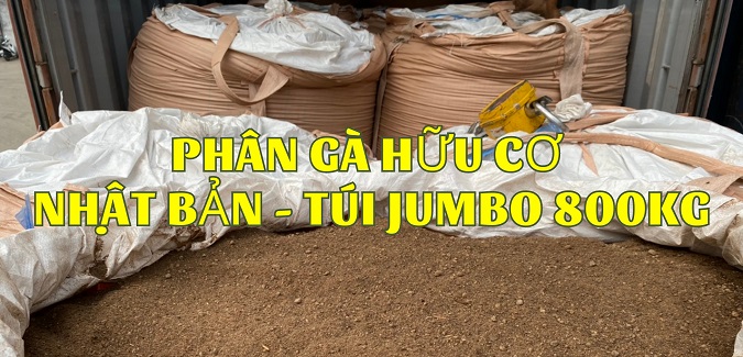 Phân gà viên Nhật Bản nhanh tan hay chậm tan?