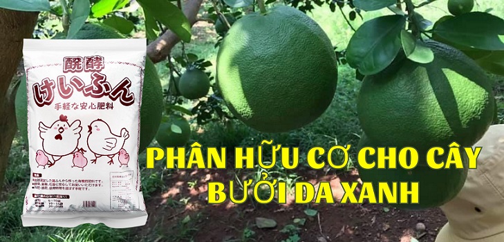 Phân gà hữu cơ Nhật Bản chuyên dụng cho bưởi da xanh